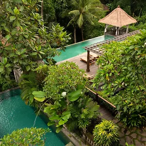 alaya-resort-jembawan.ubudhotelsnow.com/