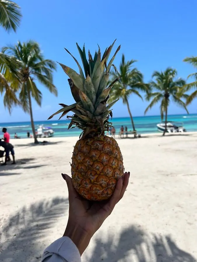 Casa Rosada Beach Front Мано-Хуан